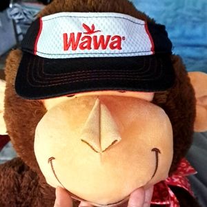 Wawa Adjustable Visor